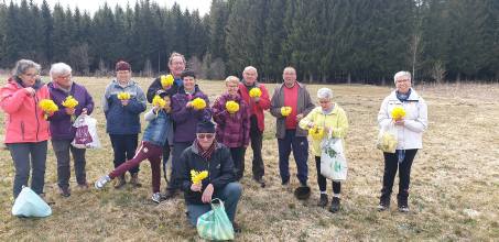 Clic sur image pour agrandir