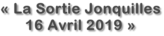 «&nbsp;La Sortie Jonquilles 16 Avril 2019 »