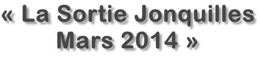 «&nbsp;La Sortie Jonquilles Mars 2014 »